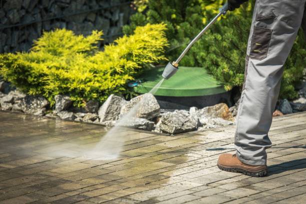 Best Sidewalk and Walkway Cleaning  in Selmer, TN
